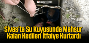 Sivas’ta Su Kuyusunda Mahsur Kalan Kedileri İtfaiye Kurtardı