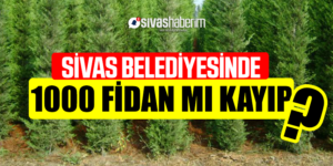 Sivas Belediyesinde 1000 Fidan mı Kayıp