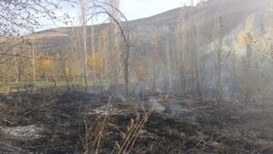 Sivas’ta Asırlık Ceviz Ağaçları Yandı 40 Dönüm Bahçe Küle Döndü