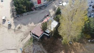 Sivas’ta Bu Kafenin İçindeki Ağaçlar Görenleri Hayrete Düşürüyor