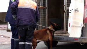 Sivas’ta Köpek Dehşet Saçtı 2’si Çocuk 4 Kişiyi Yaraladı