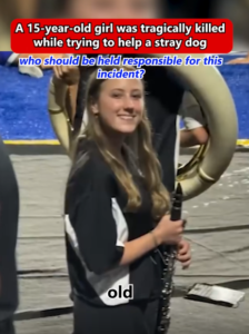 A 15-year-old girl was tragically killed while trying to help a stray ...
