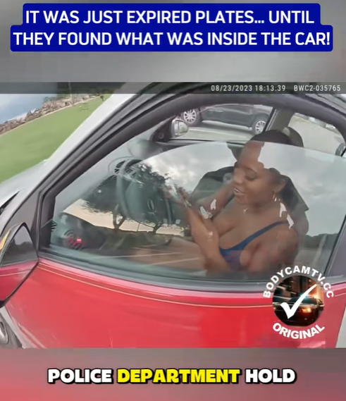 It Was Just Expired Plates… Until Police Discovered What Was Inside the Car