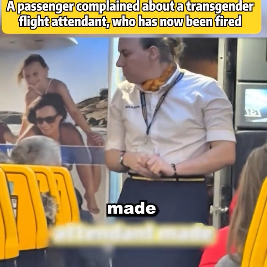 Passenger Complaint Sparks Controversy — Flight Attendant Fired After In-Flight Incident