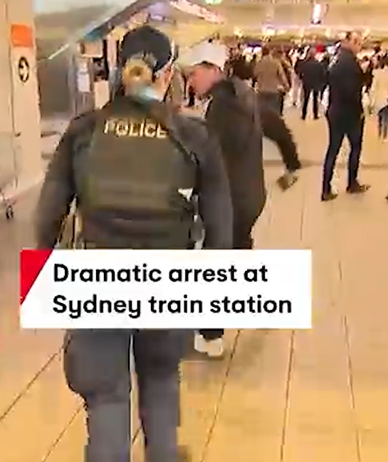 Exclusive Dramatic Arrest Shocks Commuters at Sydney Train Station