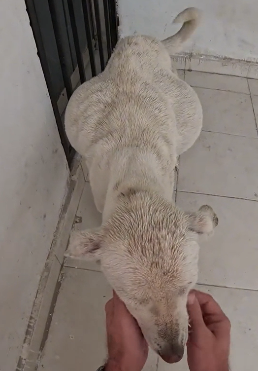 A Moment That Changed Everything – When Ordinary Seconds Turn Into Life-Altering Events