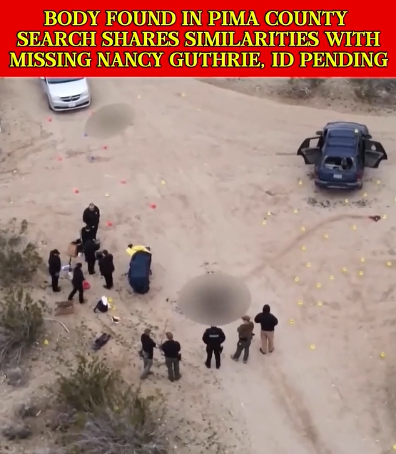Body found in Pima County search shares similarities with missing Nancy Guthrie