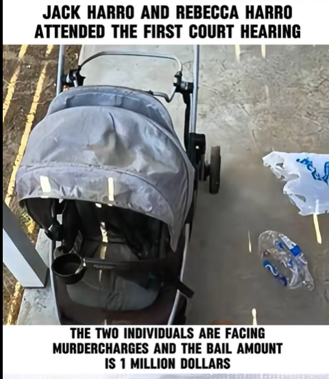 Tragic Case Shocks the Nation – Jack and Rebecca Harro Face Court in Child M*rder Trial with $1 Million Bail