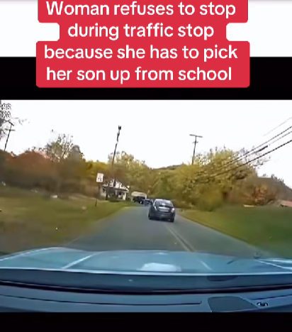 Mom Refuses to Stop for Police — Says She Had to Pick Up Her Son from School