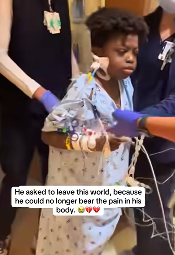 💔 A Farewell Too Soon_ The Final Moments of a Brave Little Fighter