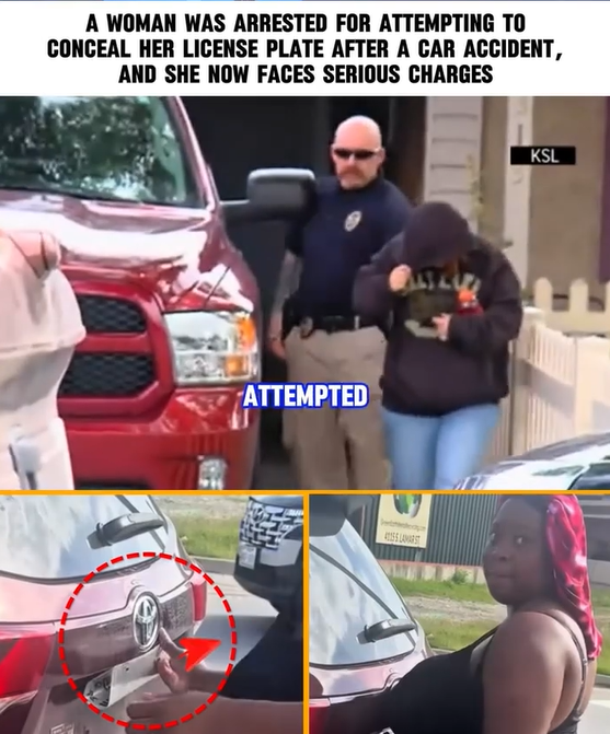 A woman was arrested for attempting to conceal her license plate after a car accident, and she now faces serious charges