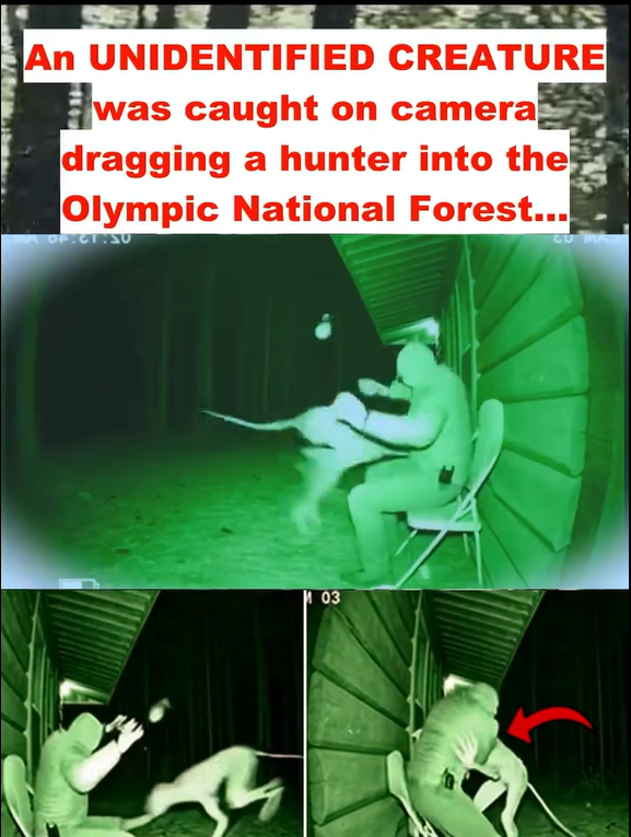 “Camera Captures TERRIFYING Encounter as Mystery Creature Drags Hunter Into the Woods — Experts Still Can’t Explain It!”