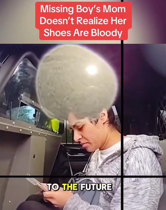Mother of Missing Boy Acts Calm — But Detectives Notice One Chilling Detail She Overlooked 😨👟