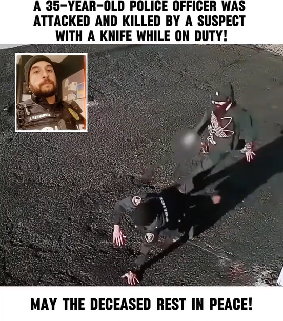 Honoring Service, Sacrifice and the Impact of Loss