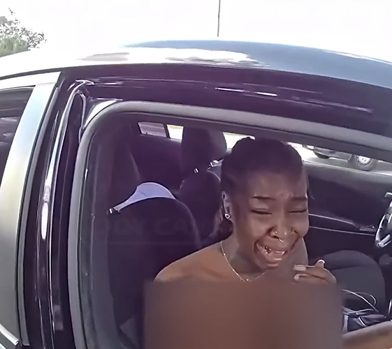 An Unexpected Stop That Shifted the Day