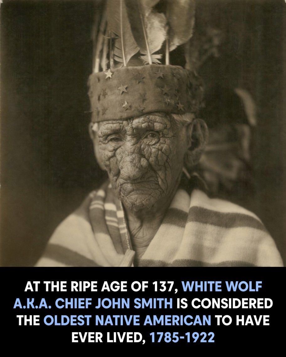 White Wolf A Life Across Centuries of Native American History