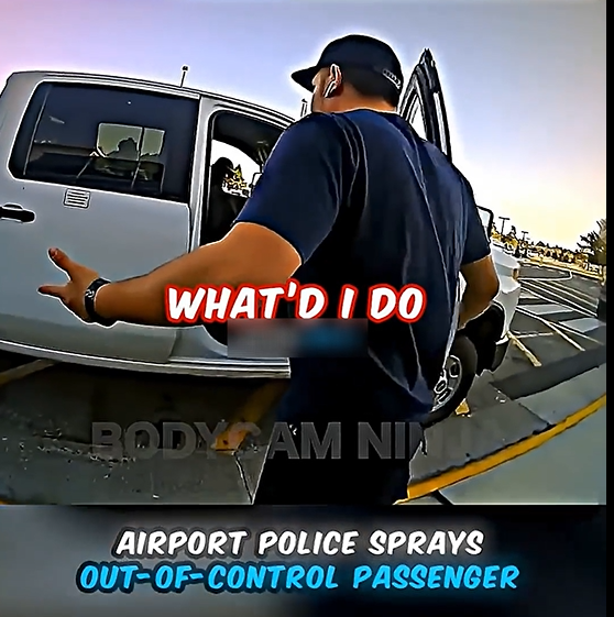 Airport Police OWNED Out Of Control Passenger