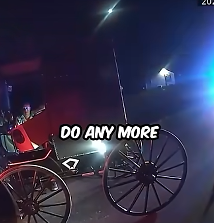Man Faces DUI While Riding a Horse 🚔😳