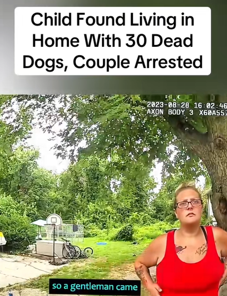 Shocking Discovery Inside Home Leads to Couple’s Arrest