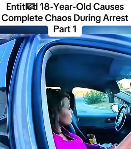 Entitled Teenager Causes Complete Chaos During Arrest