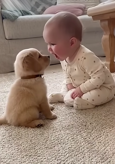 Cutest Baby and Puppy