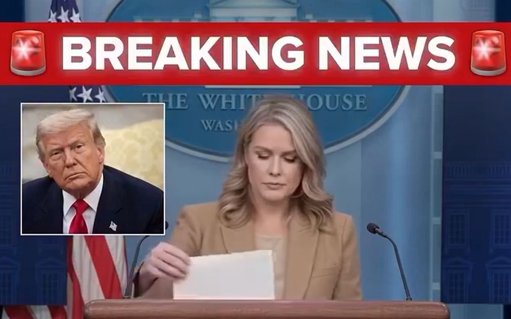 Karoline Leavitt Makes Her Case on Press Access